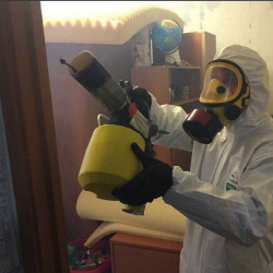 Уничтожение клопов в квартире. Прокудское